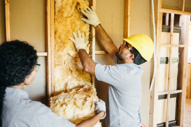 Insulation Replacement Services in Phoenixville, PA