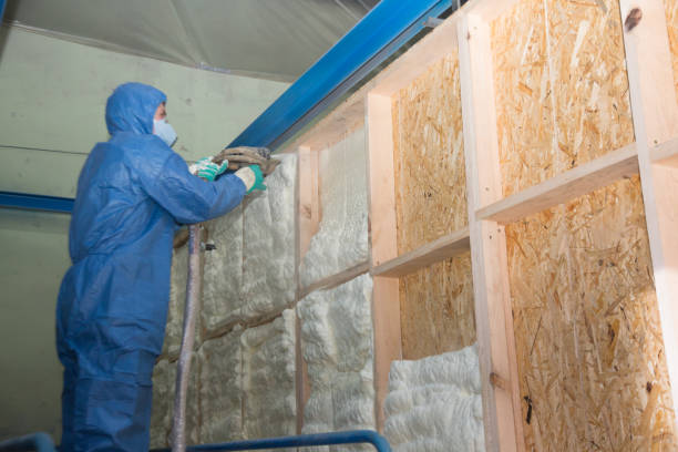Best Professional Insulation Contractor  in Phoenixville, PA