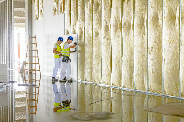 Best Energy-efficient Insulation  in Phoenixville, PA